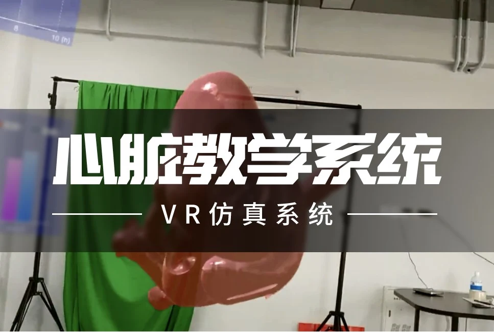 MR心脏教学系统